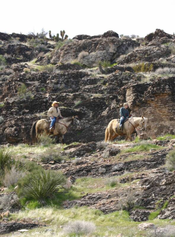 Mount Charleston Riding Stables - Cowboy Trail Rides, Las Vegas